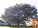 BellPark 027